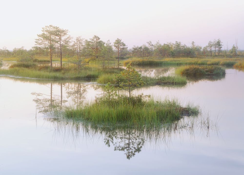 Фотография автора Andrew Kuzmin