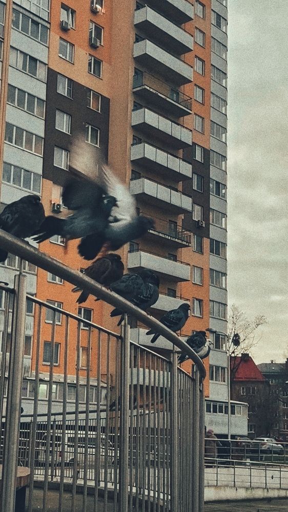 Photograph by Юлия Николаева