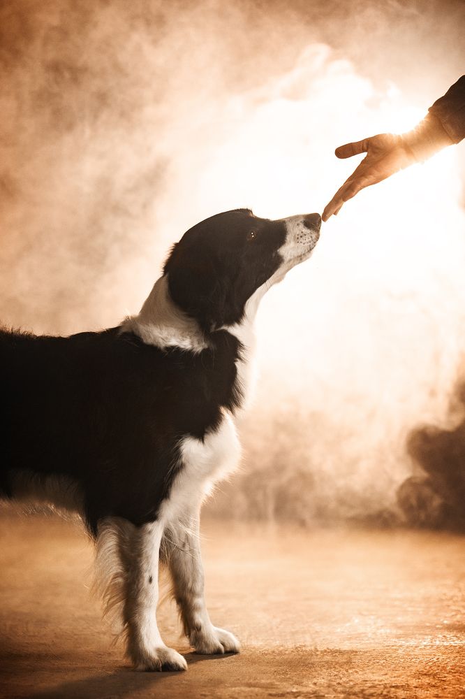 Фотография автора Coralie Mänche