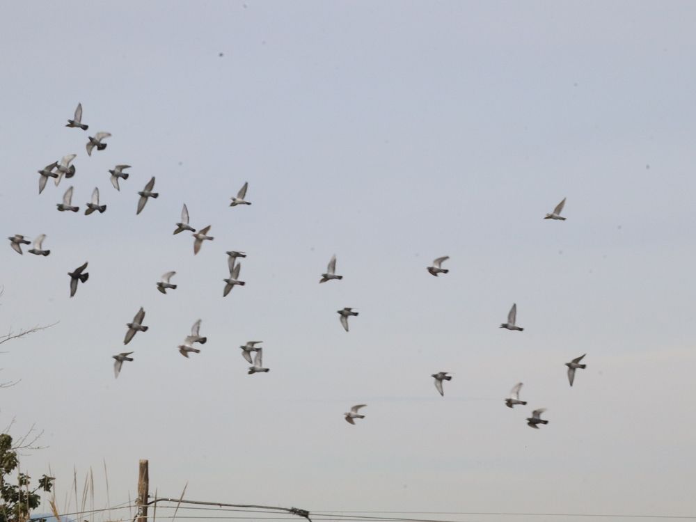 Photograph by Natalya Sedina