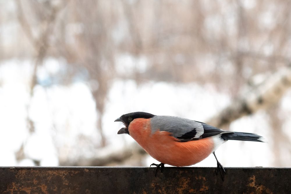 Photograph by Беловодченко