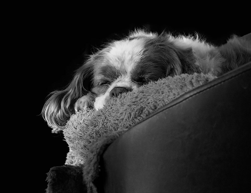 Photograph by Martine INNOCENT