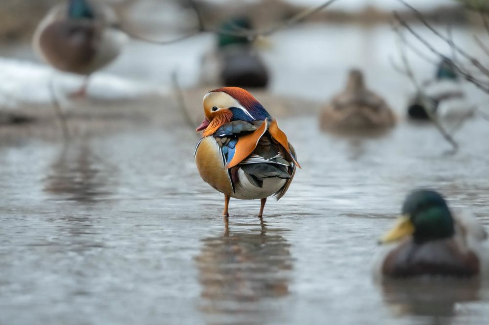 Photograph by Илья Горшенков