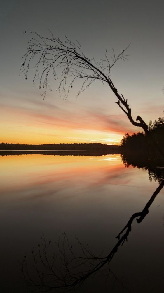 Photograph by Алексей Скворцов