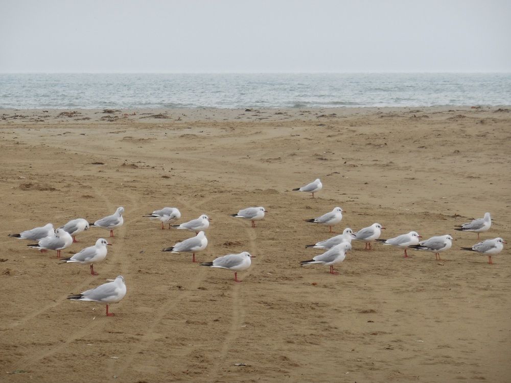 Photograph by Natalya Sedina