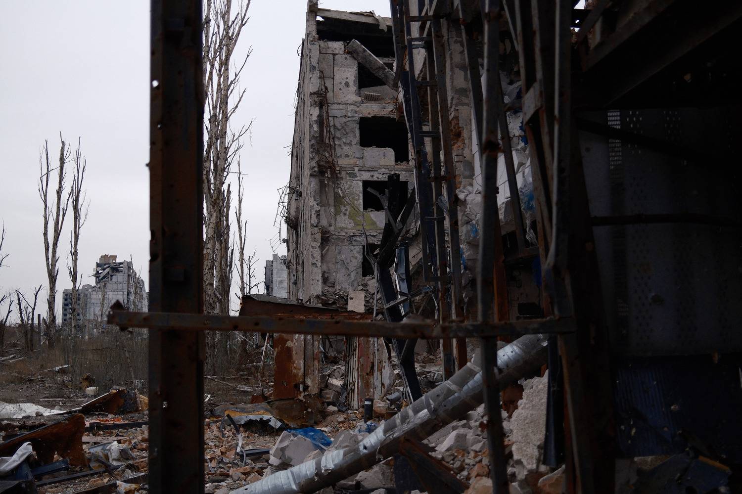 Фотография #11778418