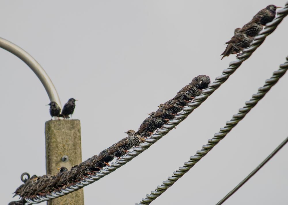 Photograph by Martine INNOCENT