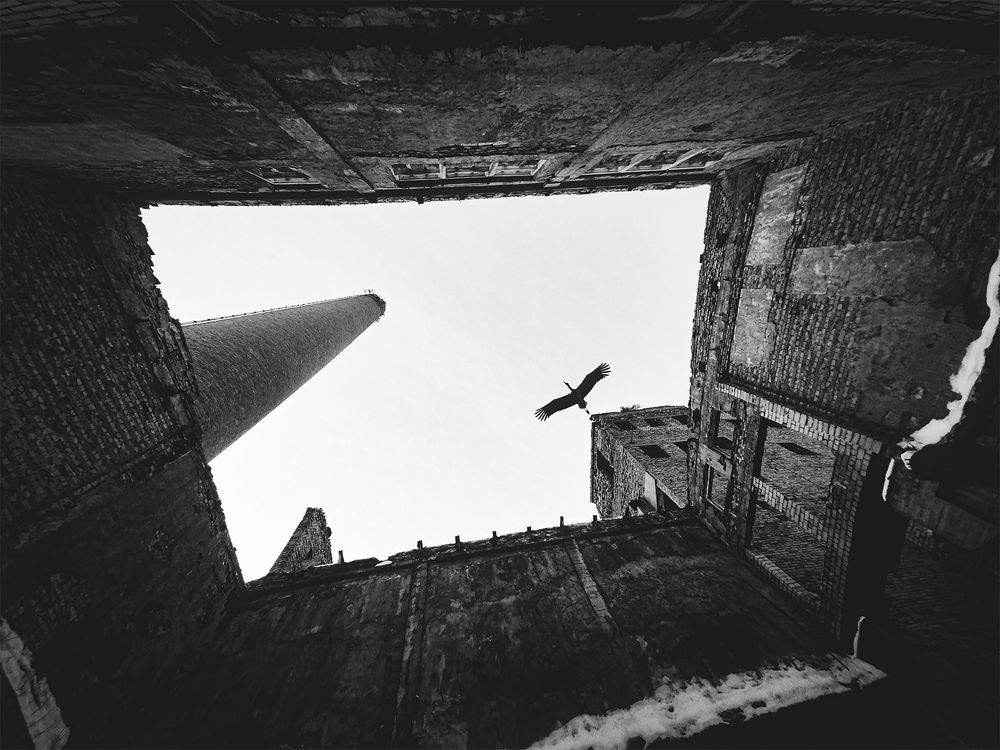 Photograph by Анжелика Титова