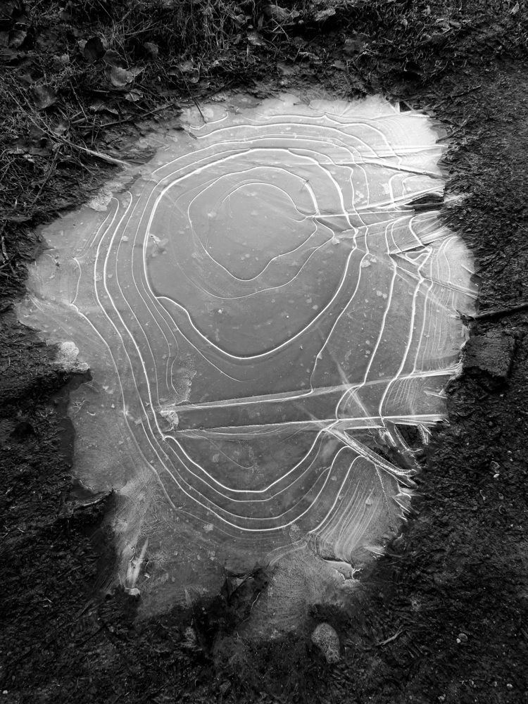 Photograph by Егор Жук