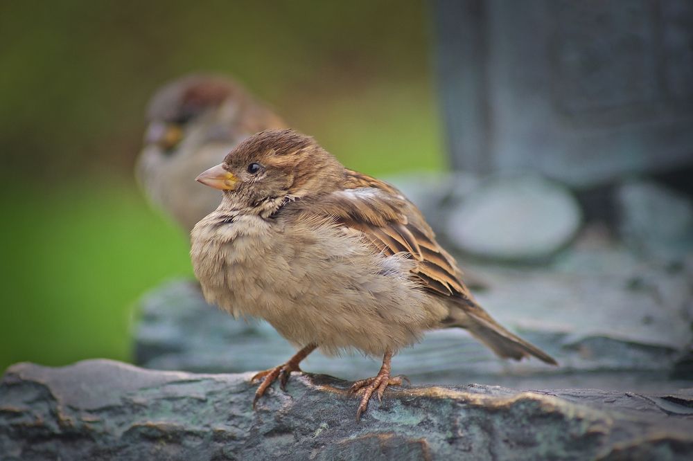 Photograph by Елена Щитова