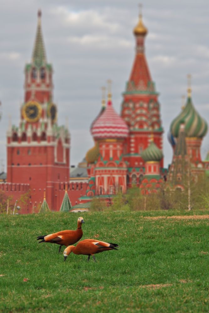 Photograph by Елена Щитова