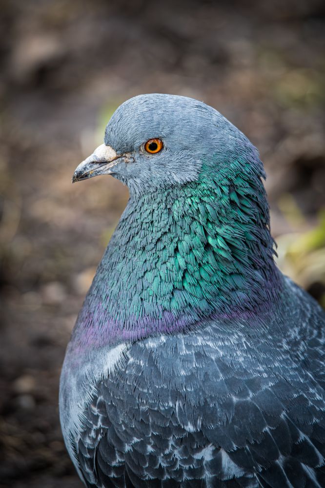 Photograph by Sofia Belyaeva