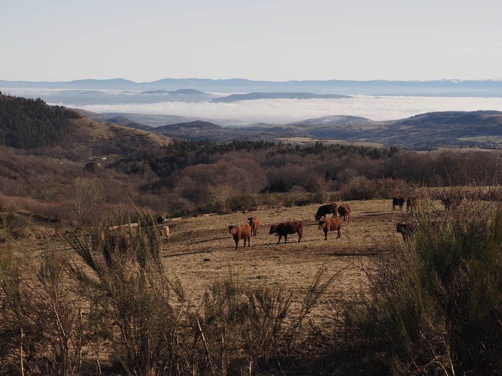 Photograph by Александра Шилова