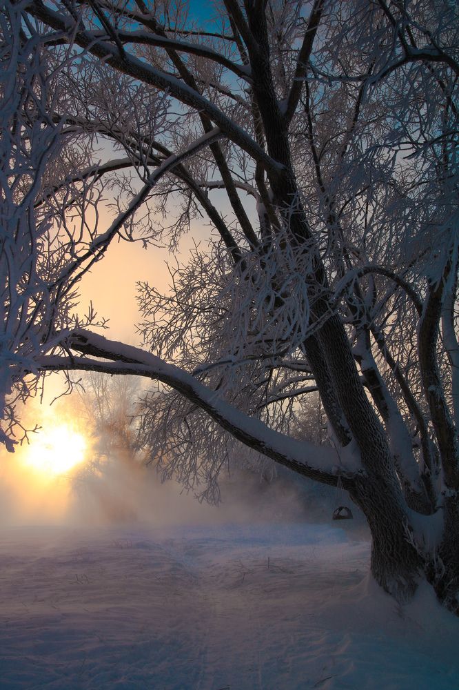 Photograph by Олеся Постнова