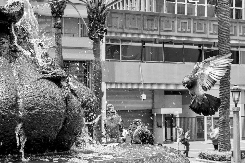 Photograph by Juan José Rodas