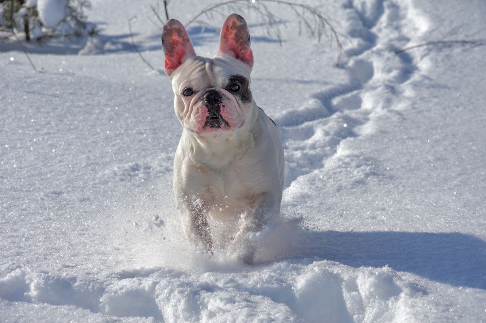 Фотография автора Наталья Димова