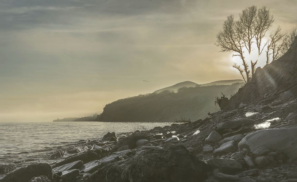 Photograph by Моторина Арина