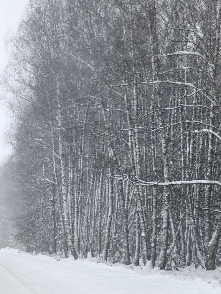Photograph by Феоктистова Юлия
