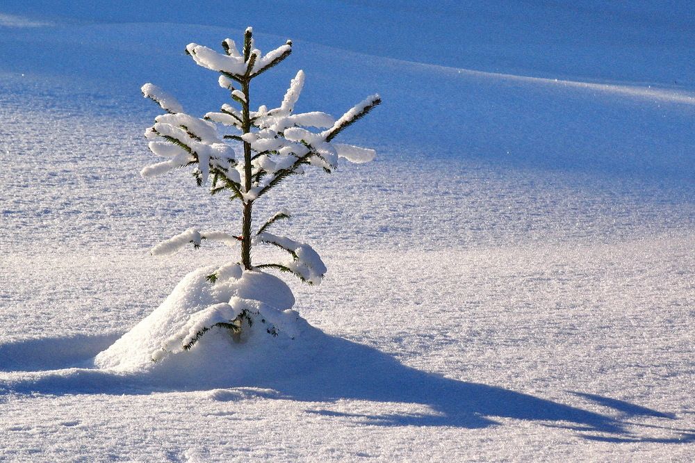 Photograph by Еловиков Олег