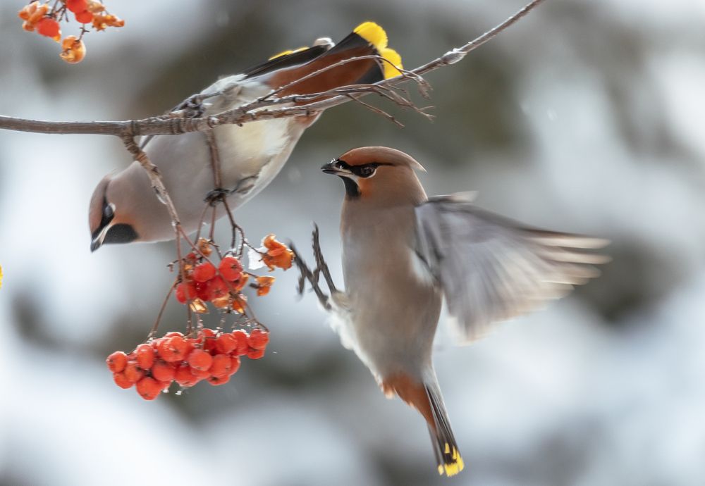 Photograph by Владислав Костылев