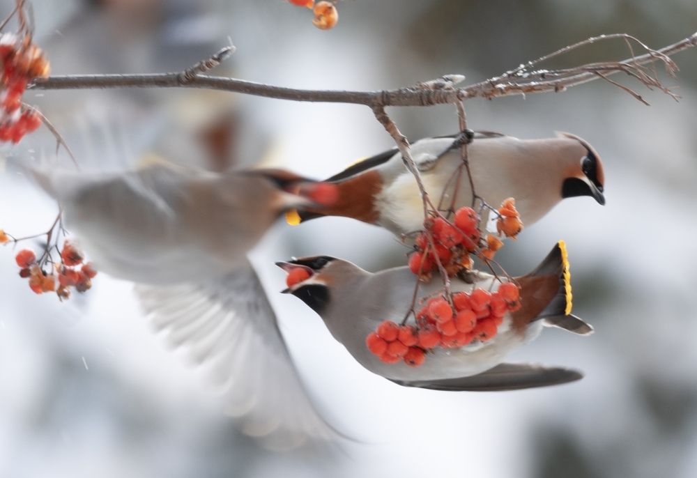 Photograph by Владислав Костылев