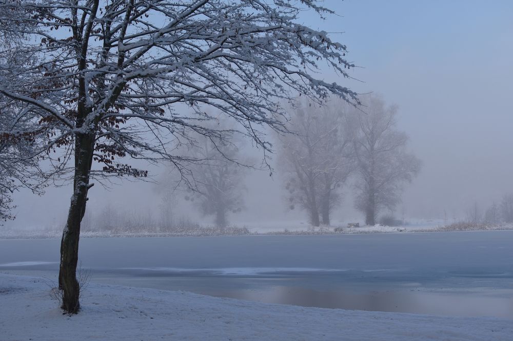 winter fog