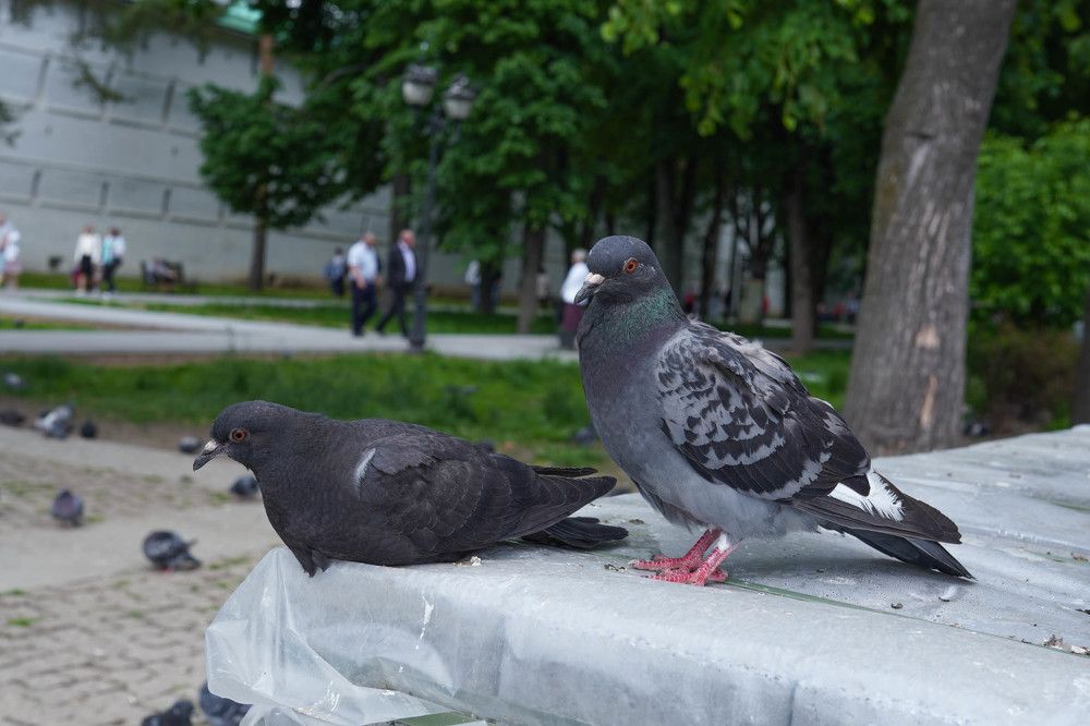 Photograph by Галина Андреева