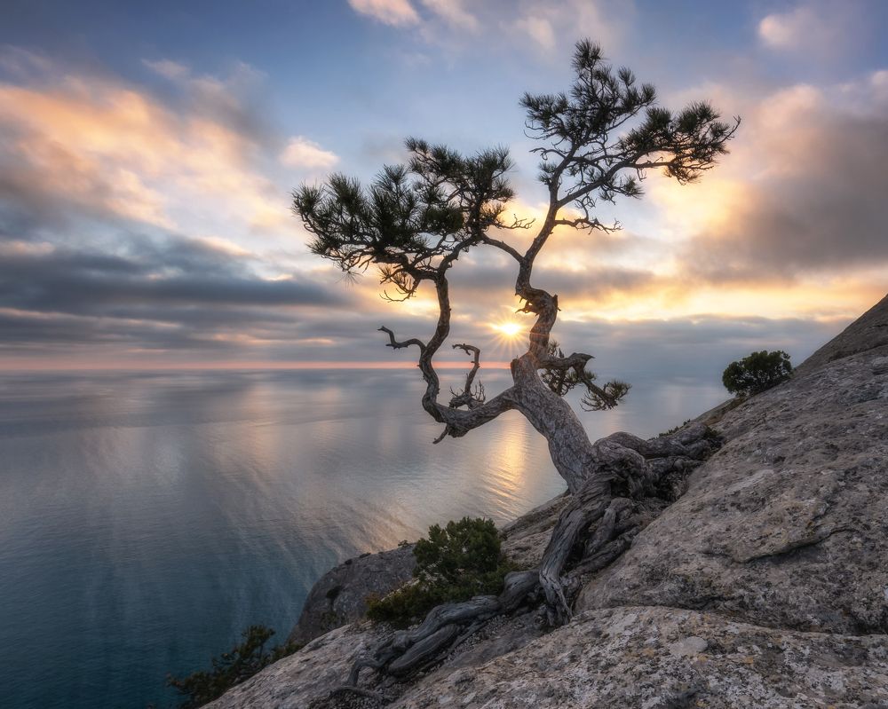 Фотография автора Дмитренко Екатерина