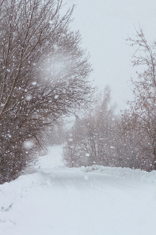 Photograph by Ольга