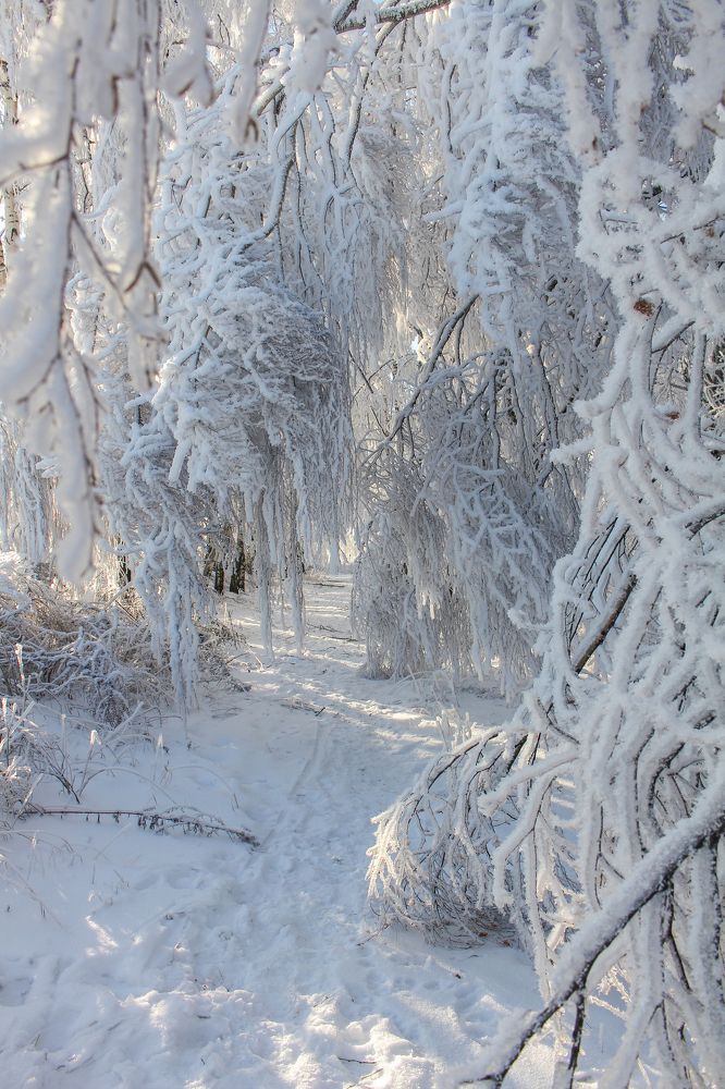 Photograph by Ольга