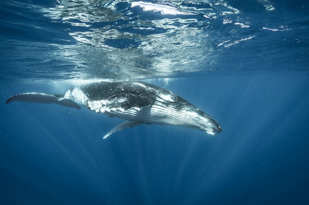 Photograph by Труханов Илья