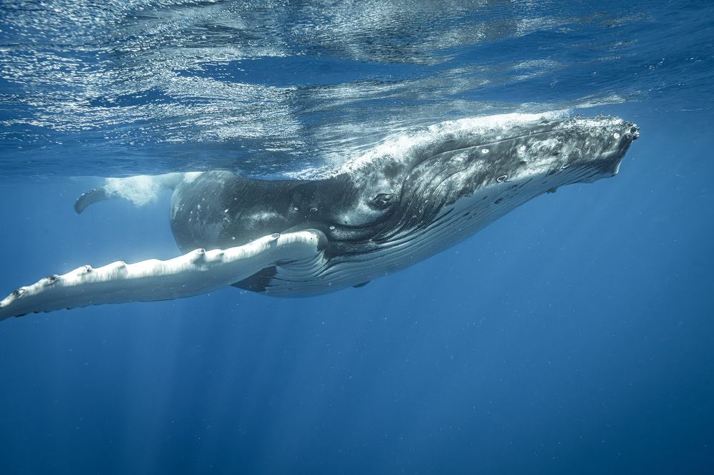 Photograph by Труханов Илья