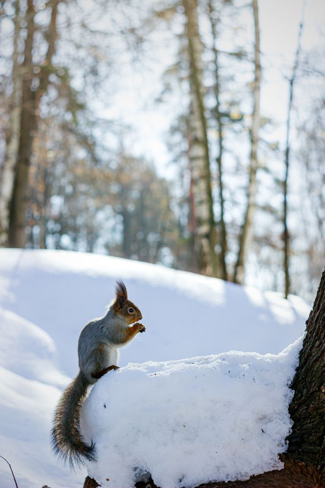 Фотография автора Дмитрий Овчинников