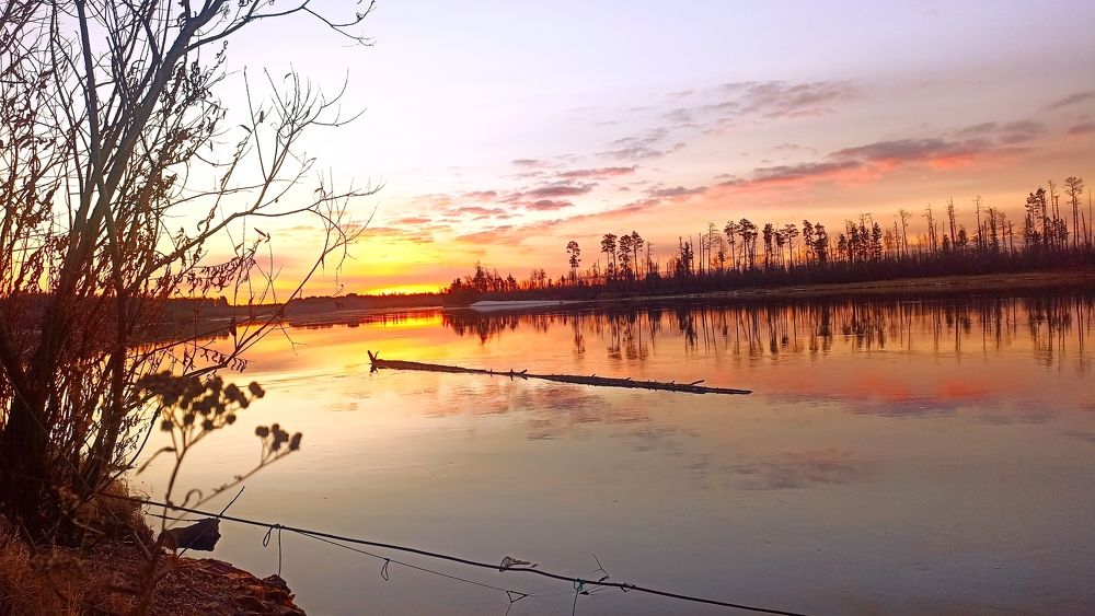 Photograph by Игорь Владимирович Дербенев