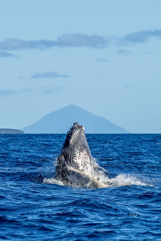 Photograph by Труханов Илья