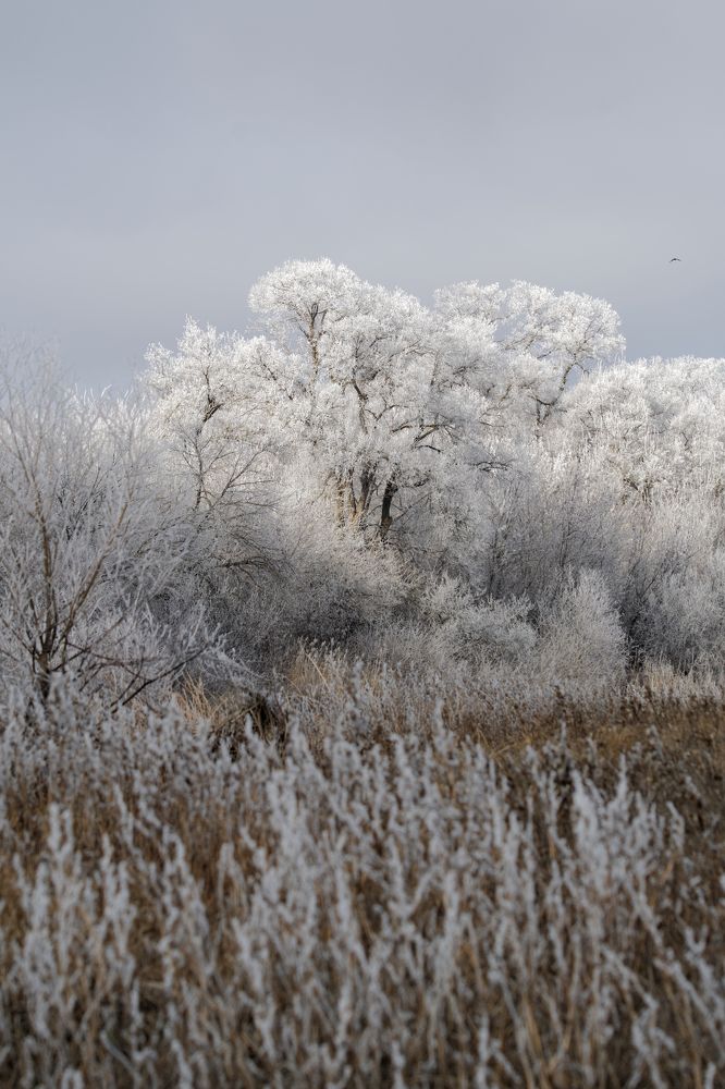 Photograph by Антон Громов