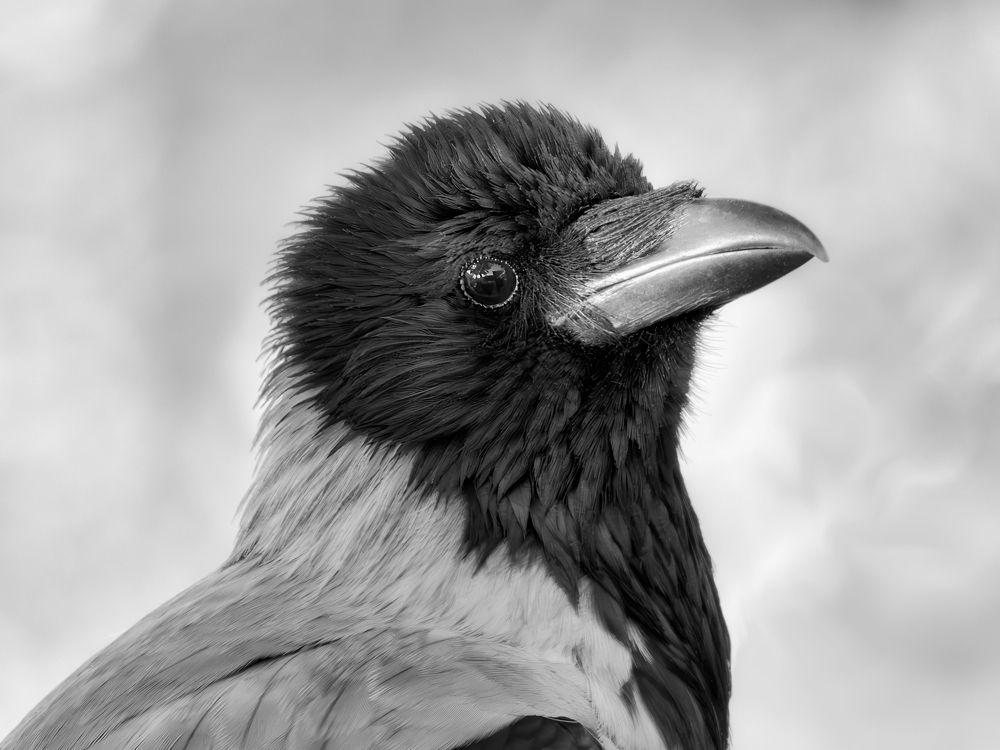 Призадумалась