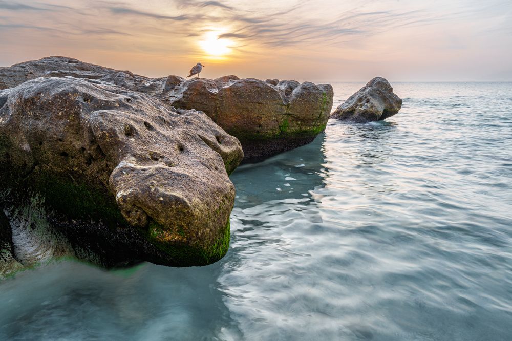 Photograph by Марат Кидиров