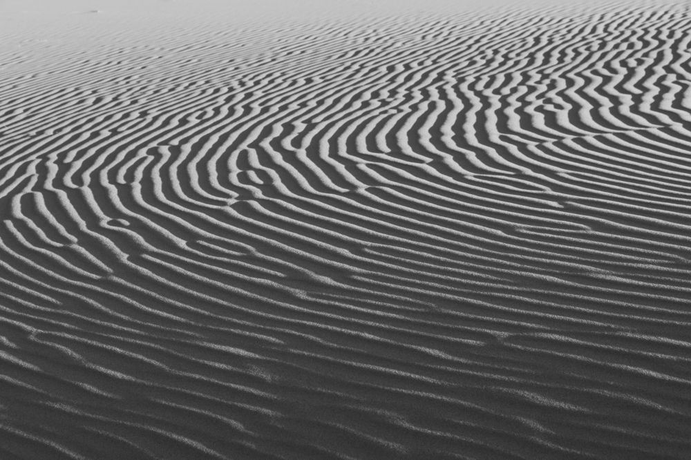 Photograph by Елена Вторушина