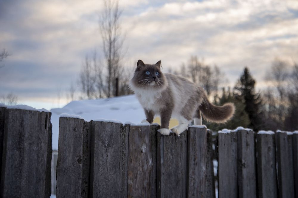 Фотография автора Злобин Сергей