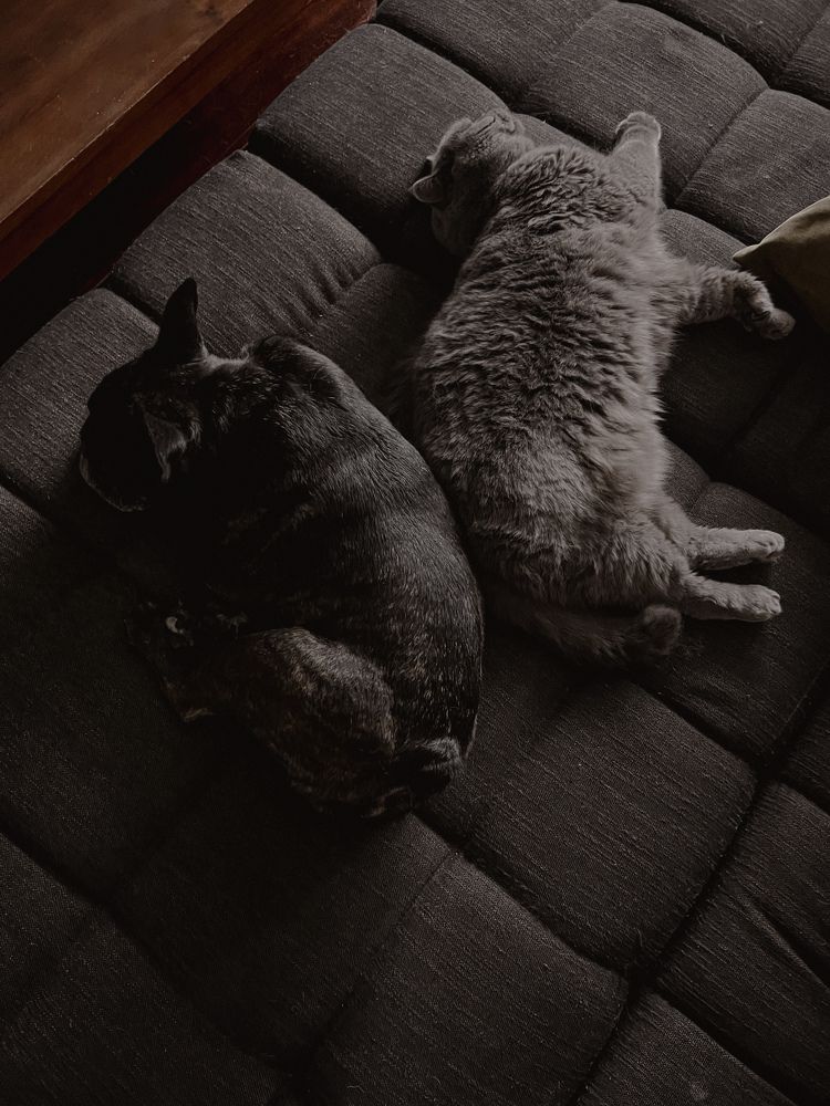 Photograph by Julia Smilovitsky