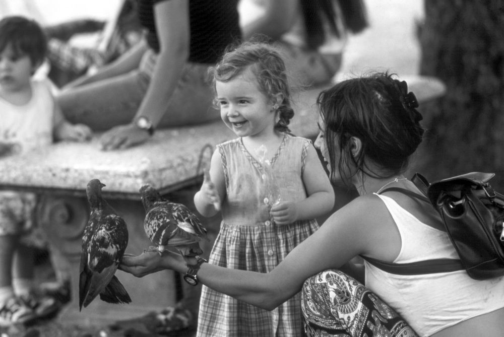 Photograph by gustavo gatto