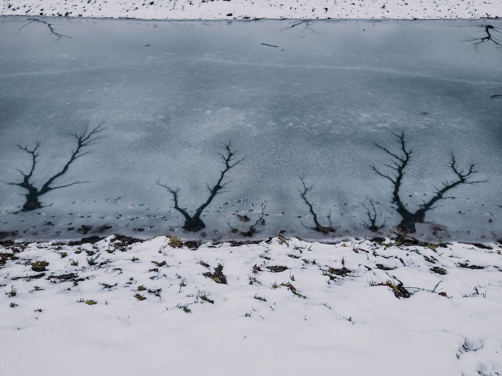 Photograph by Валерия Гуртовая