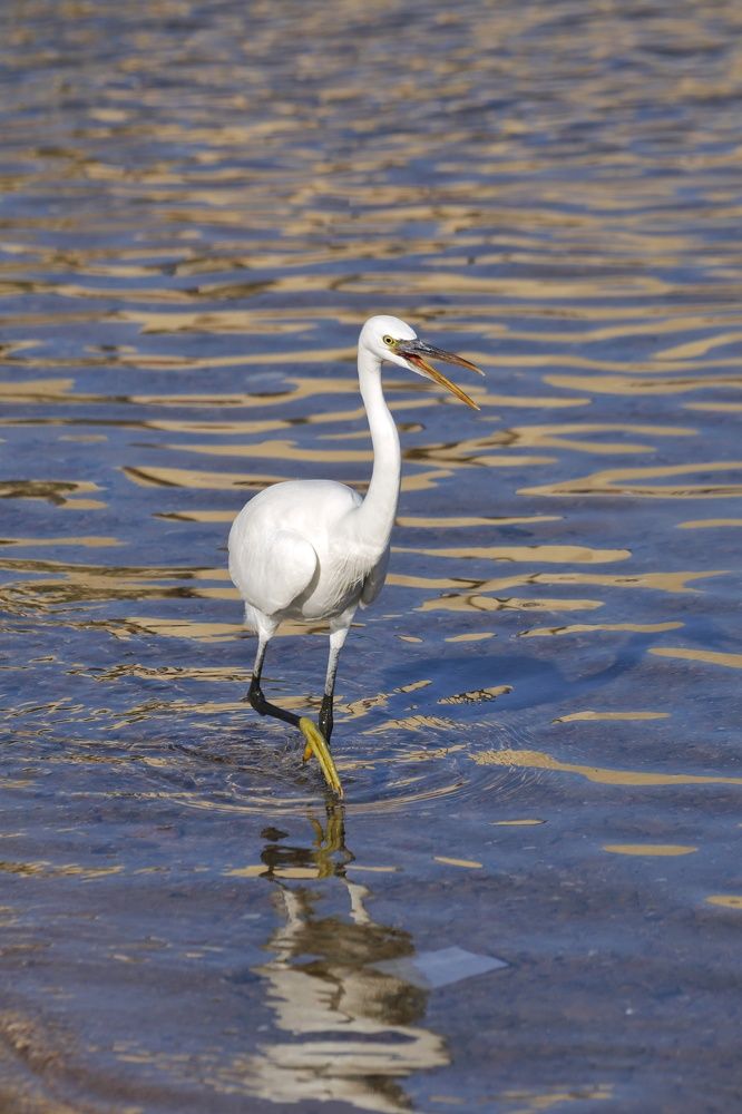 Photograph by Елена Белехова