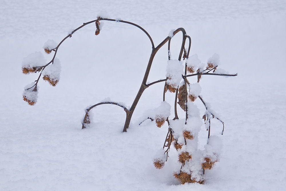 Photograph by Василий Быстрицкий