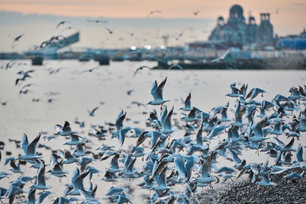 Фотография автора Валерий