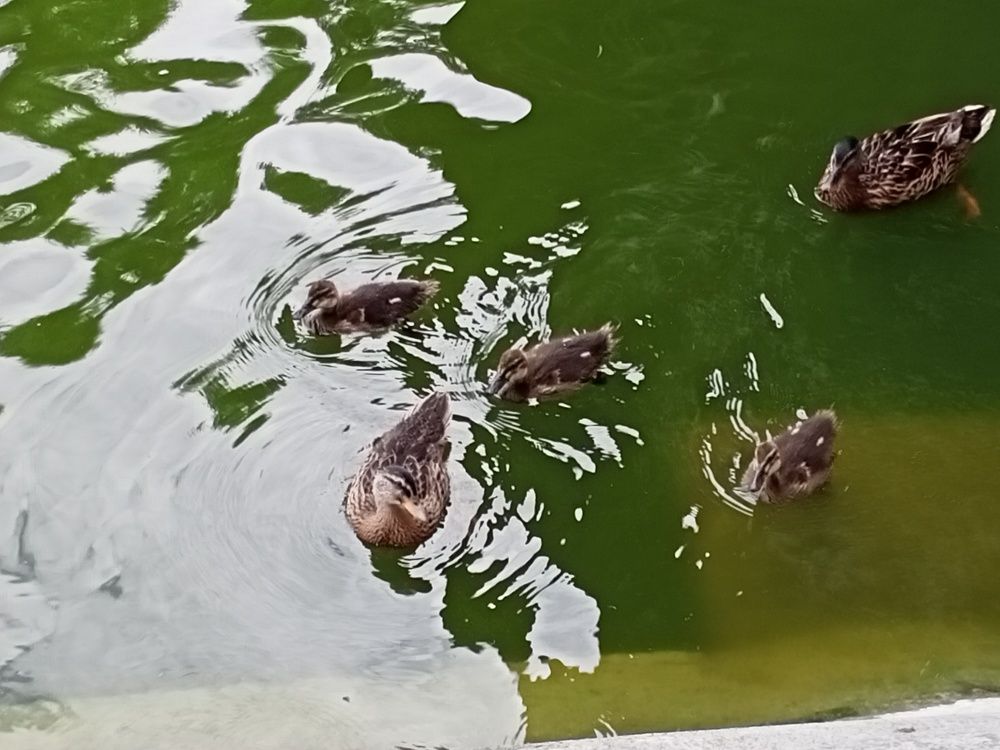 Photograph by Анна Лагун