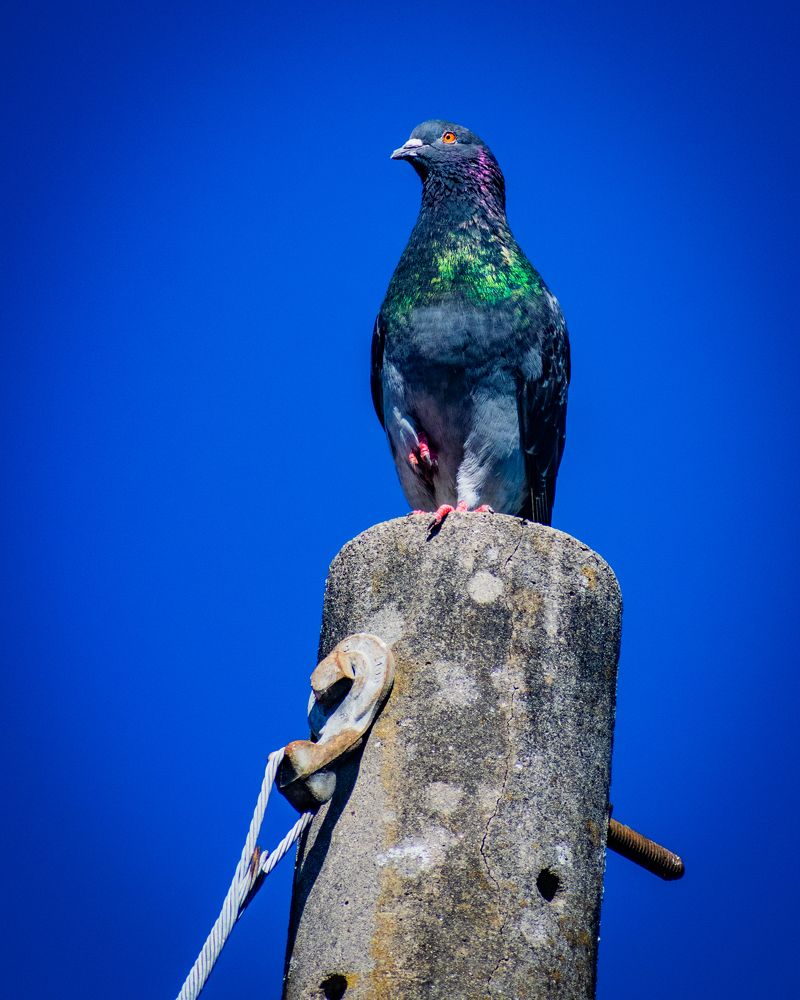 Photograph by Mauricio Santiago Boulogne