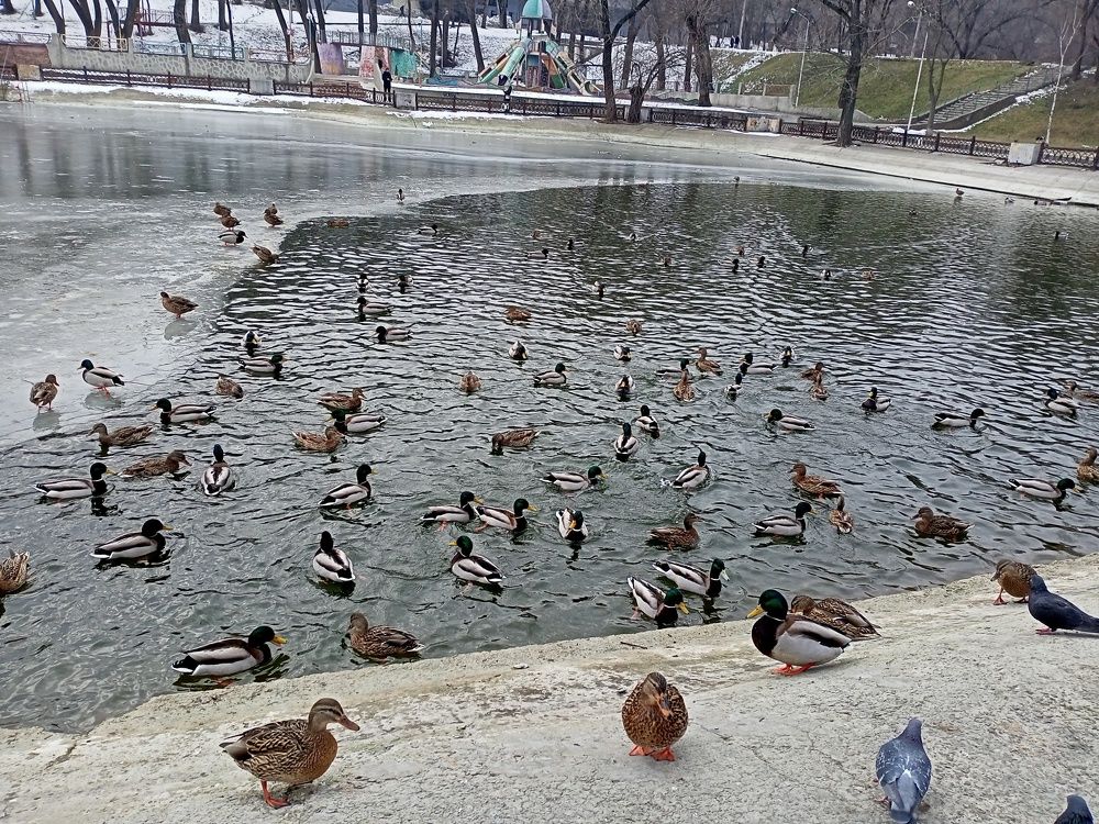 Photograph by Анна Лагун