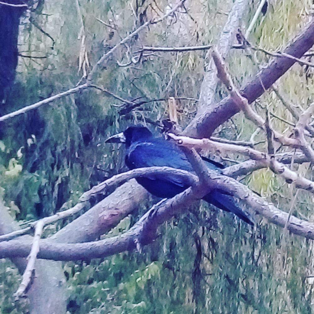 Photograph by Анна Лагун